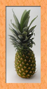 pineapple.jpg